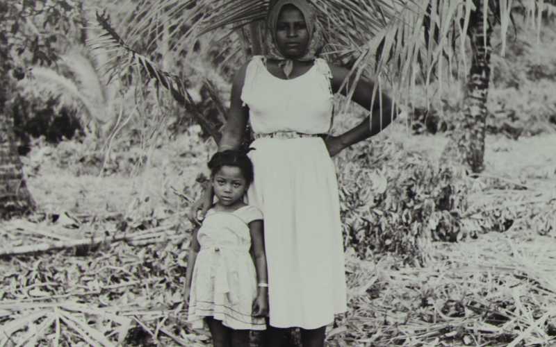 Fotos | Argemiro Idárraga | LA PATRIA