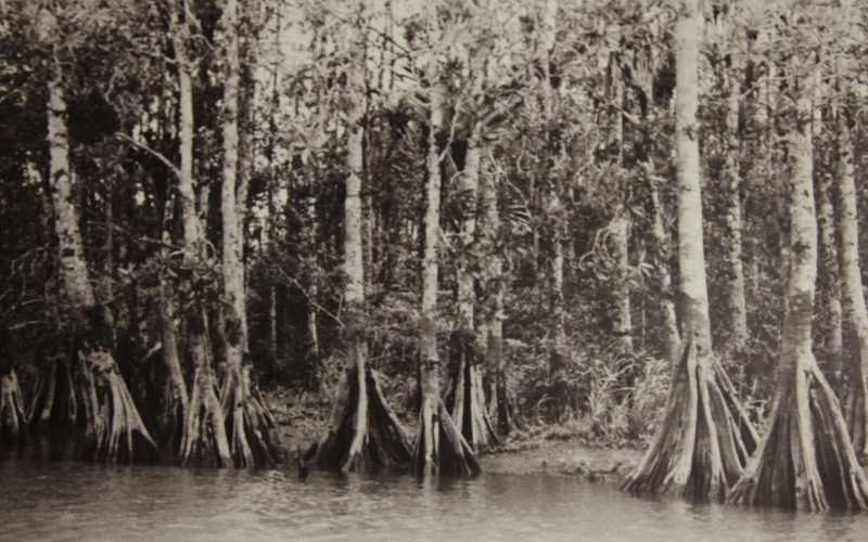 Fotos | Argemiro Idárraga | LA PATRIA