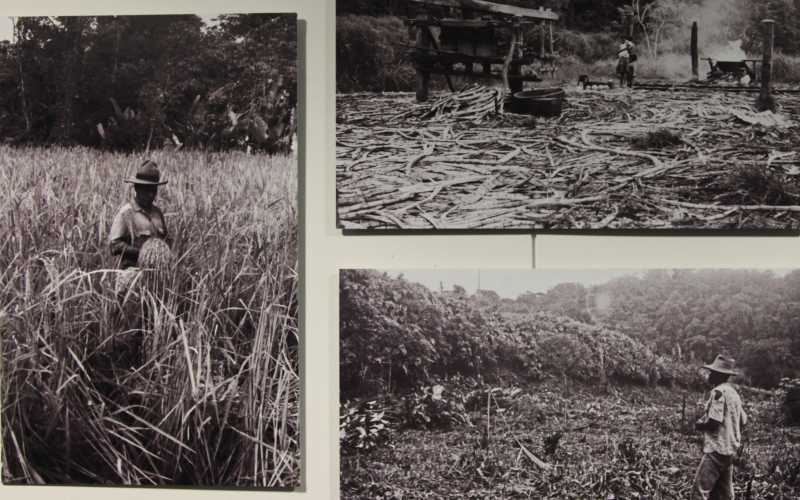 Fotos | Argemiro Idárraga | LA PATRIA 