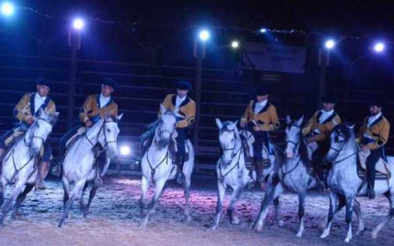 Foto | Freddy Arango | LA PATRIA  El talento de los jinetes se acopla a la belleza y habilidades de los caballos.