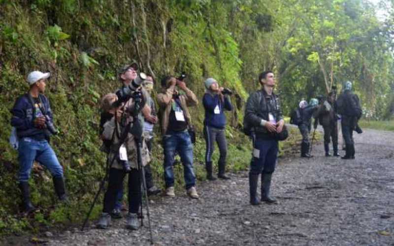 Foto | José Fernando Tangarife | LA PATRIA