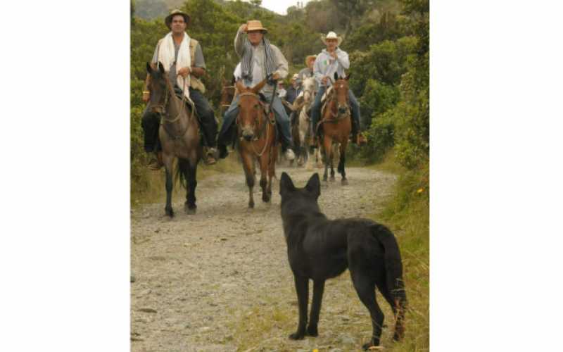 Cabalgata por la paz Hasta el perro observo el paso de los jinetes