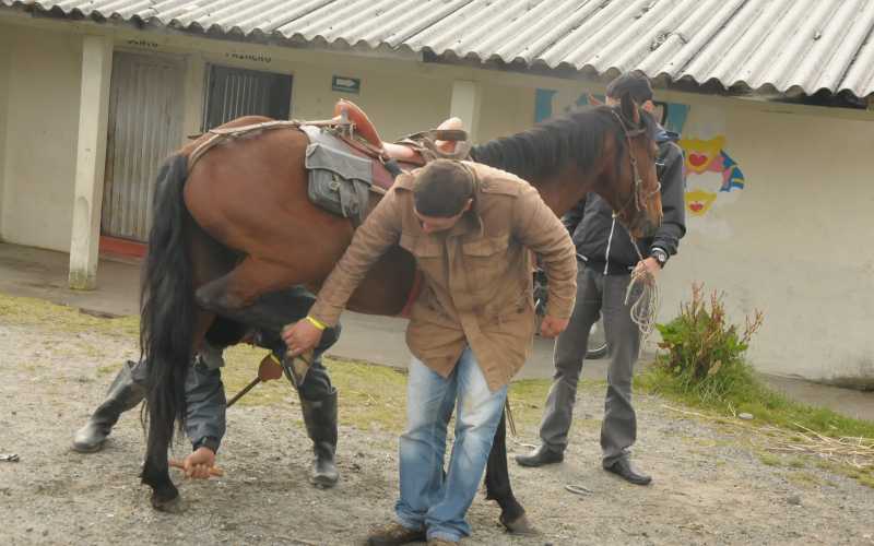 Cabalgata por la paz Una buena herradura era necesaria para el recorrido de siete horas.