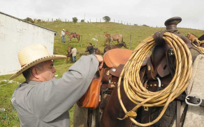 Cabalgata por la paz Dando los últimos retoques antes de empezar a montar