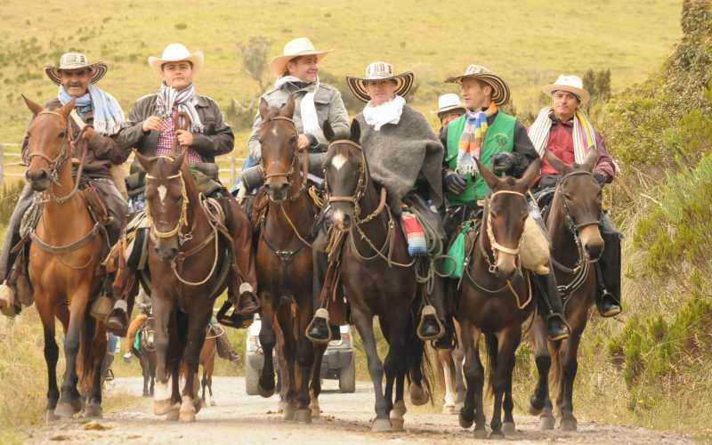 Cabalgata por la paz Fotos | Freddy Arango | LA PATRIA Los caballistas llegaron de Tunja, Aguadas, Guaduas, Pereira, Villavicencio, Quindío, Tolima, Casanare, Santander, Medellín y Manizales. Hasta hay de Puerto Rico, país antillano.