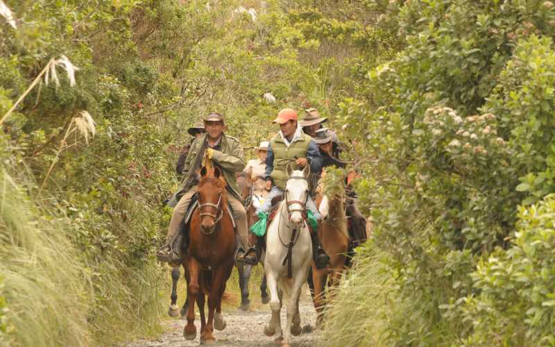 Cabalgata por la paz Neira, Aranzazu y Filadelfia serán otros destinos que los caballistas recorreran.