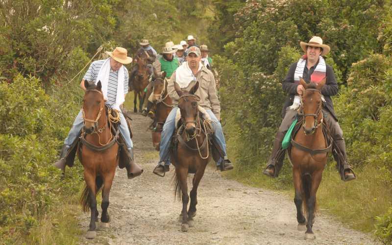 Cabalgata por la paz