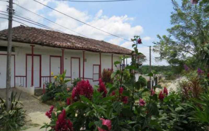 Fotos | Albeiro Rudas | LA PATRIA