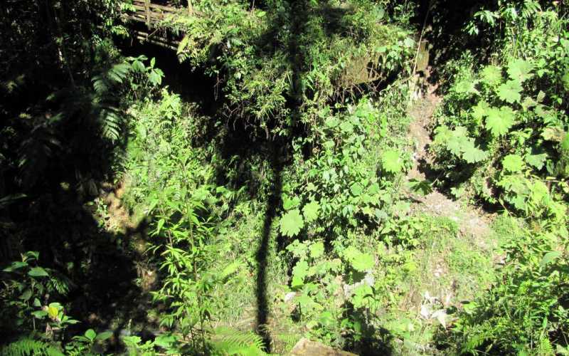 La temporada de lluvias del 2011 provocó un deslizamiento que tapó el sendero y arrasó con un puente a unos 200 metros del comienzo del camino.