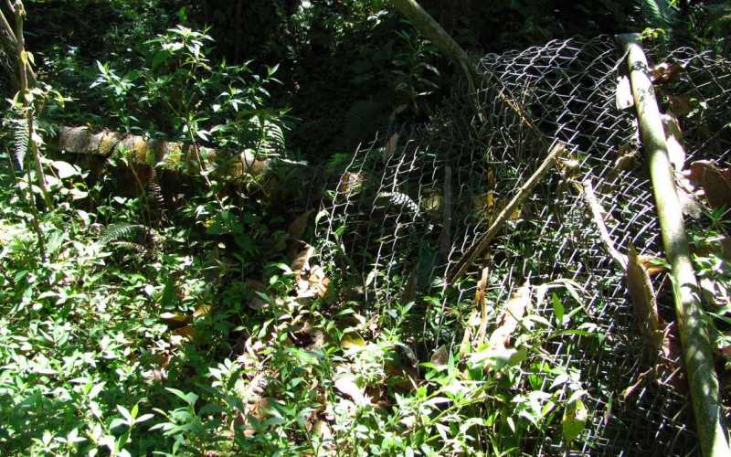 Hasta la reja que marca el límite, arriba en la montaña, está caída. 