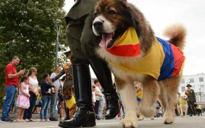 Foto | Freddy Arango | LA PATRIA