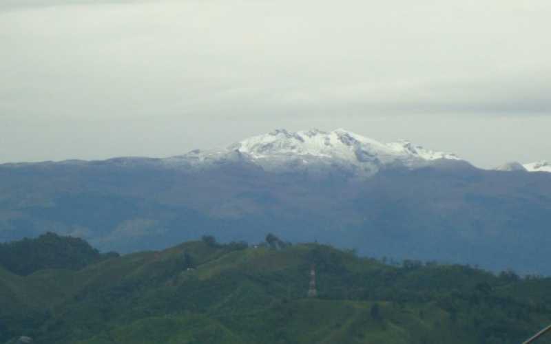"Acá su majestad, el Ruiz"