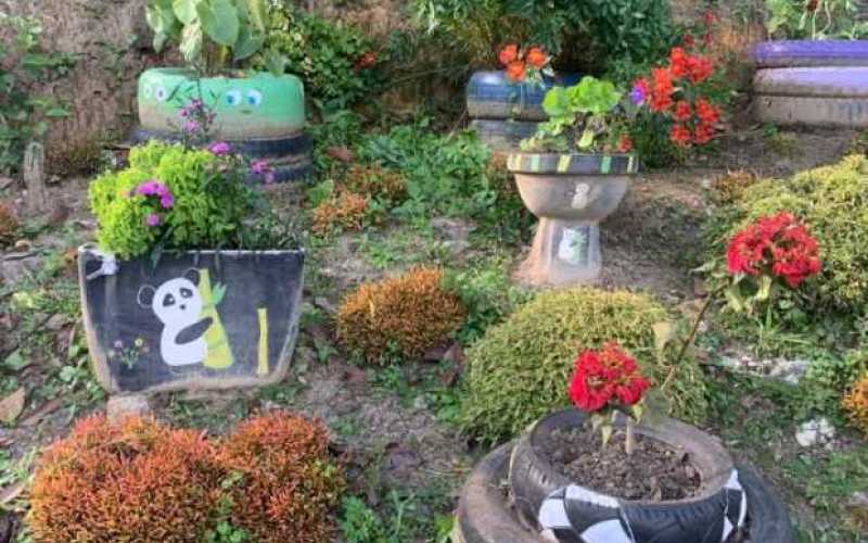 Un jardín de llantas en Anserma