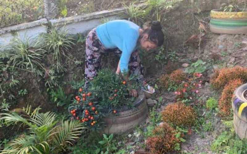 Un jardín de llantas en Anserma