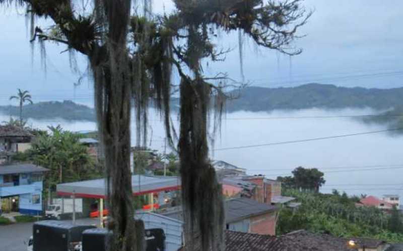 Fotos | Albeiro Rudas | LA PATRIA