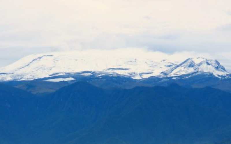 "Acá su majestad, el Ruiz"