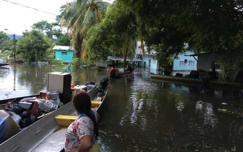 Foto | Adolfo Cortés | LA PATRIA Charca Guarinocito.