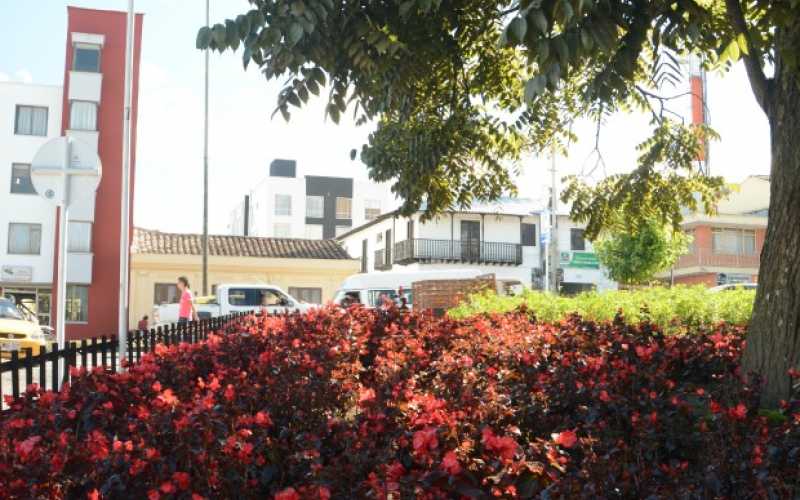 Las urbanizaciones y los edificios también pueden contagiarse y embellecer con la siembra de estás plantas los antejardines. En la imagen el Parque Cristo Rey.