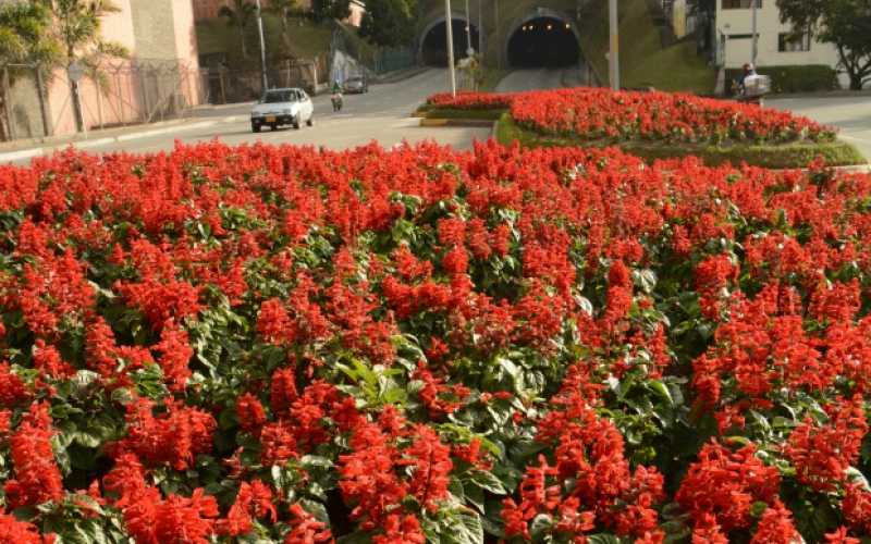 Los túneles en el sector de Mabe tienen como antesala este lienzo rojo que despide o da la bienvenida a la ciudad.