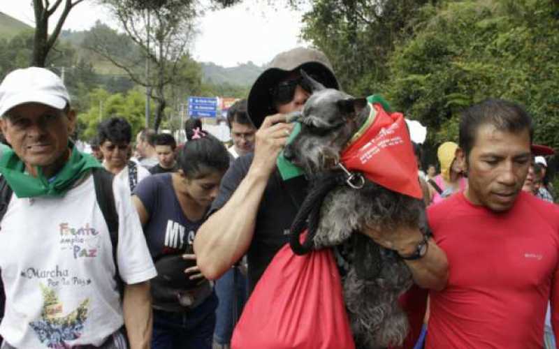 Foto | Martha Monroy | LA PATRIA