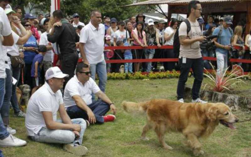 Foto | Martha Monroy | LA PATRIA