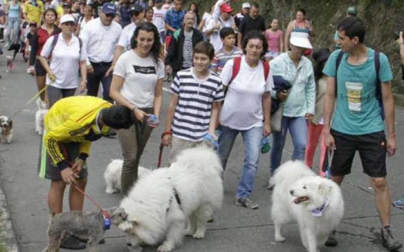 Foto | Martha Monroy | LA PATRIA