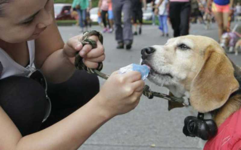 Foto | Martha Monroy | LA PATRIA