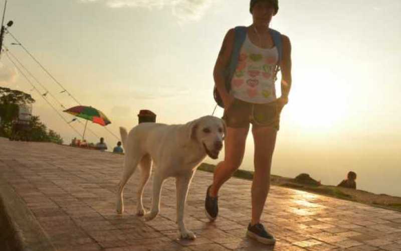 Foto | Freddy Arango|Arango | LA PATRIA Ángela Viviana Gómez lleva a pasear a su mascota Felicidad.