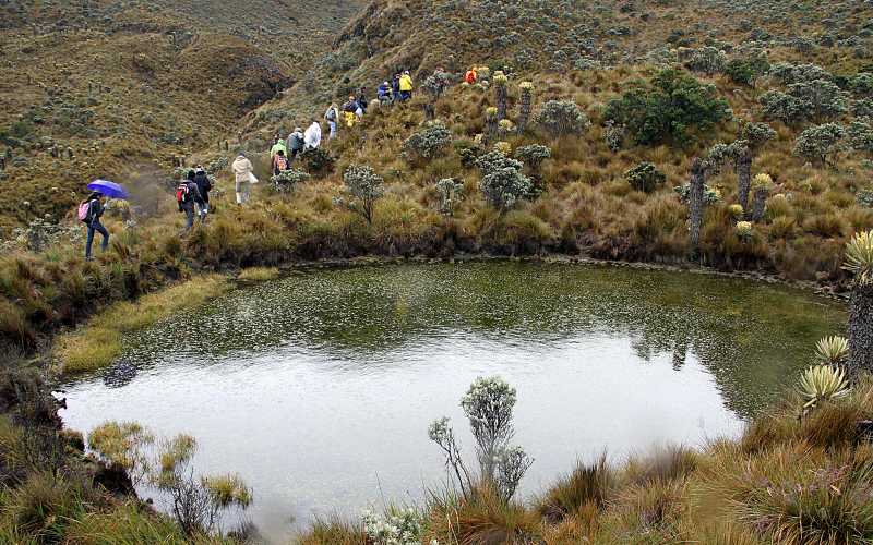 Entre los problemas para la pérdida de estos espejos de agua están: progresiva tala de los bosques andinos y el calentamiento global, entre otros.