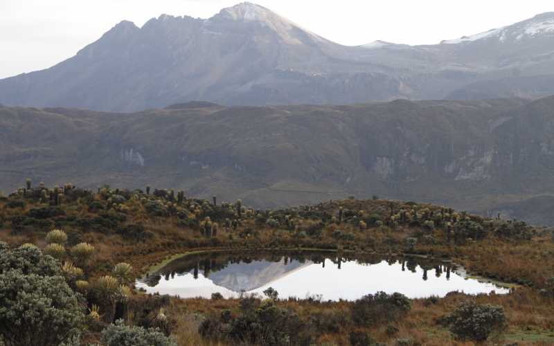 Un espejo de agua es un complemento para un paisaje, pues este refleja tranquilidad y paz a las personas que lo admiran.