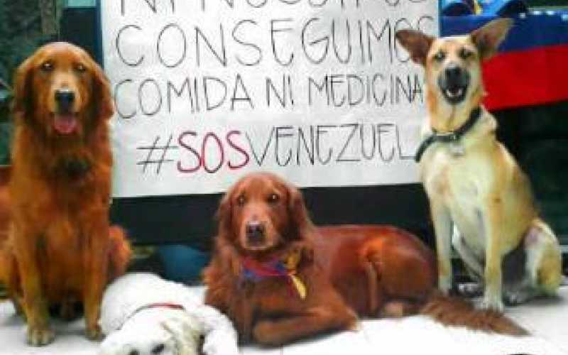 Daniel Márquez ‏@D_eme #SOSVenezuela #ResistenciaVzla Ellos también se afectan en la escasez