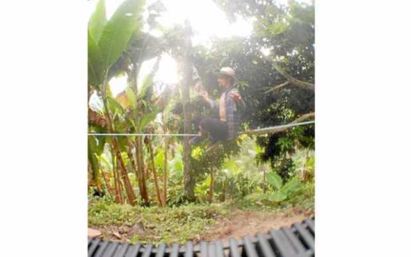 Foto | Cortesía | LA PATRIA Víctor Hugo Henao Toro.