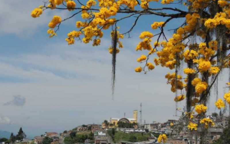Fotos | Albeiro Rudas | LA PATRIA