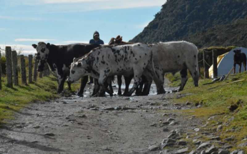 Se gozaron el trail running en Laguna Negra