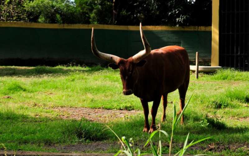 Foto | Martha Monroy | LA PATRIA 