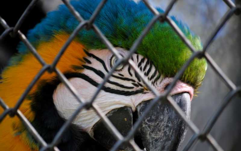 Foto | Martha Monroy | LA PATRIA 