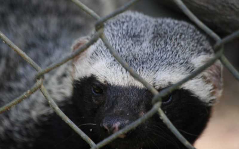 Foto | Martha Monroy | LA PATRIA 