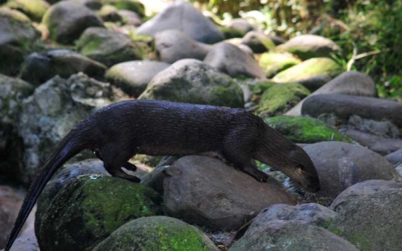 Foto | Martha Monroy | LA PATRIA 