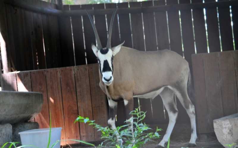 Foto | Martha Monroy | LA PATRIA 