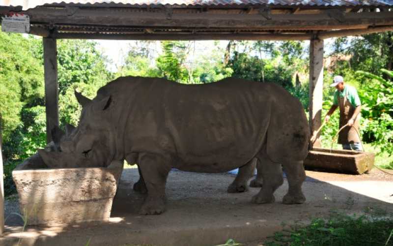 Foto | Martha Monroy | LA PATRIA 